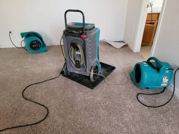 Best 24-hour water damage restoration  in Durand, IL