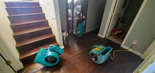 Best Carpet water damage restoration  in Durand, IL