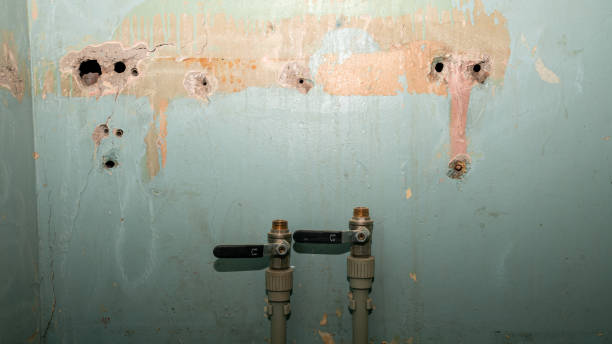 Best Water damage cleanup near me  in Durand, IL