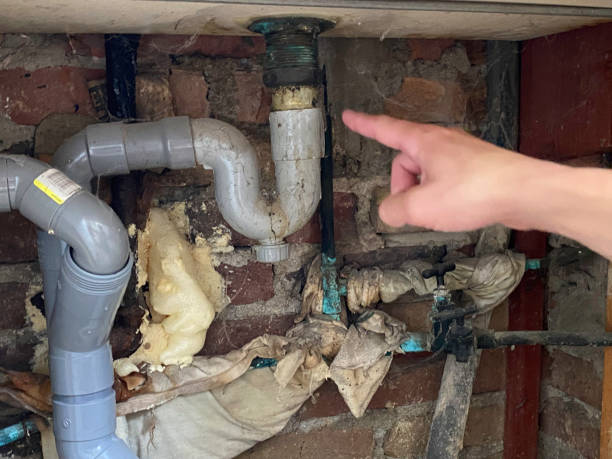 Best Commercial water damage restoration  in Durand, IL