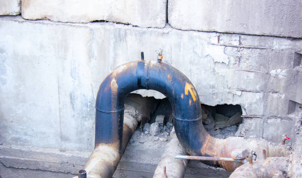 Best Mold removal after water damage  in Durand, IL