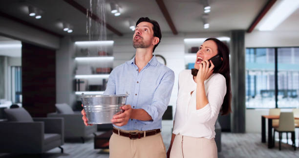 Best Professional water damage repair  in Durand, IL