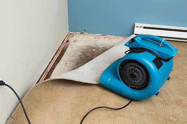Best Water damage restoration insurance claims  in Durand, IL